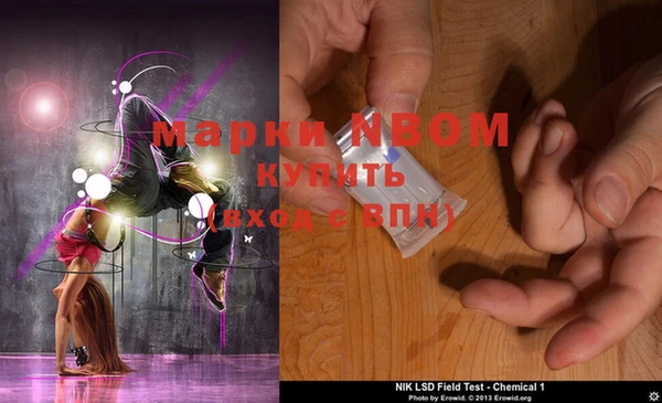 хмурый Алексеевка